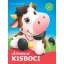 A kíváncsi kisboci