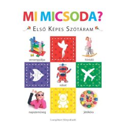 Mi micsoda?