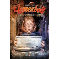 Lemezbolt a Szent János utcában