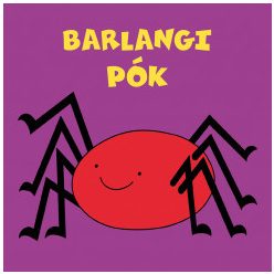 Barlangi pók