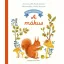A mókus