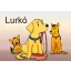 Lurkó
