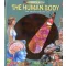 Torch Book - The human body
