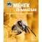 Méhek és darazsak – Mi MICSODA