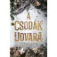 A csodák udvara