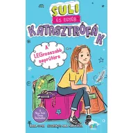 Suli és egyéb katasztrófák - A legrosszabb seprűtárs