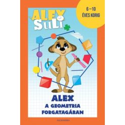 Alex Suli - Alex a geometria forgatagában