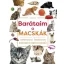 Barátaim, a macskák