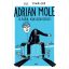 Adrian Mole újabb kínszenvedései