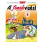 Asterix 7. - A főnökviadal