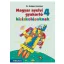 Magyar nyelvi gyakorló kisiskolásoknak 4. - MS-2508U